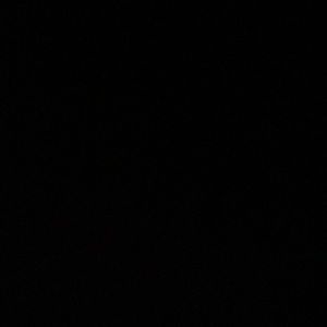 Meet your Posher, Ray